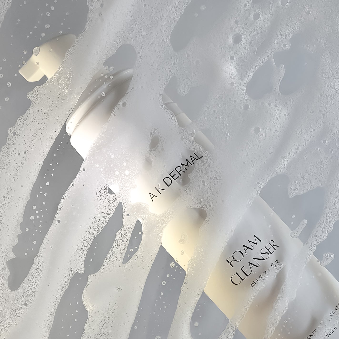 Antioxidant Foam Cleanser