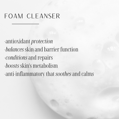 foam cleanser. ak dermal, ak beauty, facial cleanser, botanical cleanser